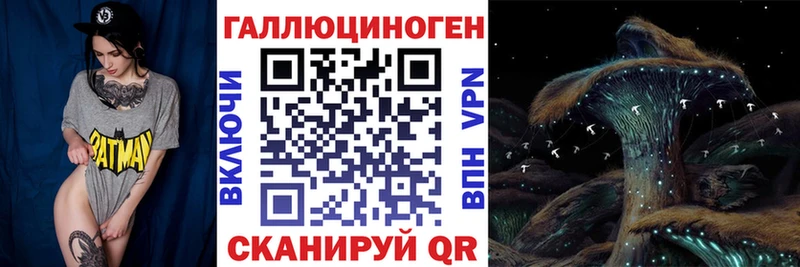 Псилоцибиновые грибы Psilocybe  Купить закладки  Киреевск 